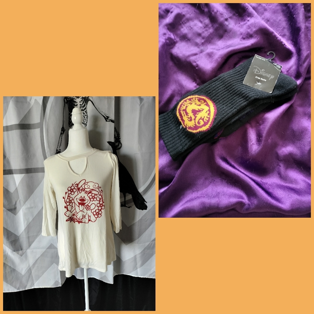 CLOSET CLEAN OUT Mulan fan bundle